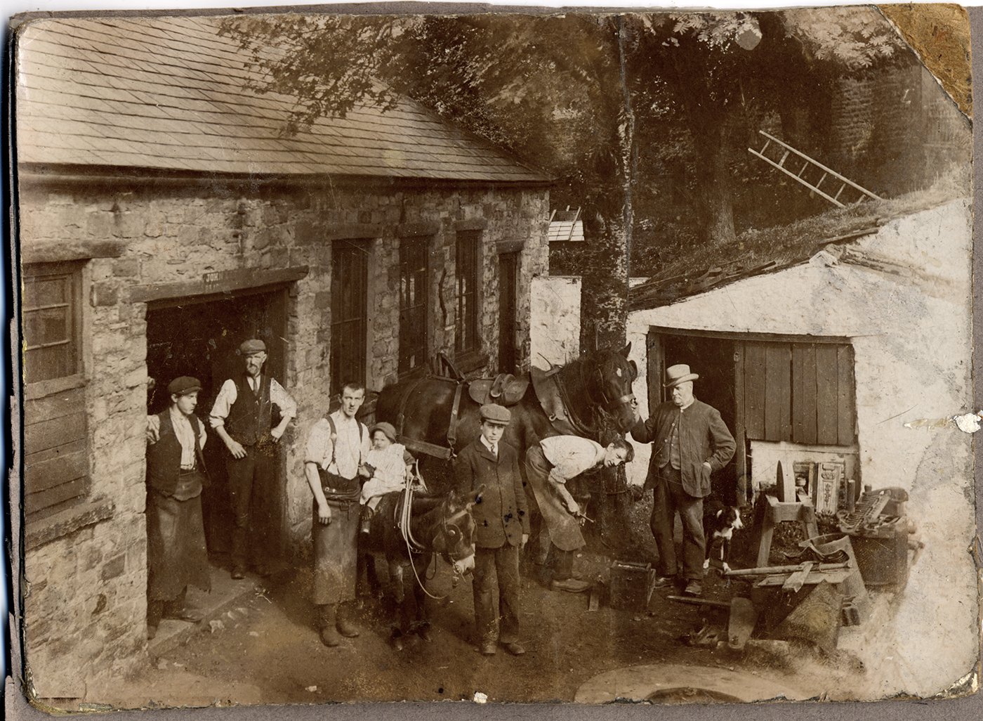 Forge Cottage- Townhead, Alston 1910/20?’s
John Little, [if it’s him, he died on 29 April, 1902- which might help date this image]. Louis  Little (son), John Little (grandson on donkey, wearing clogs- born 1909 so this pic prob 1910/11).The Little, (sometimes Littel) Family (Scottish) ran the Forge at this time- Tom Bell later.
LATEST INFO from Denise Sales née Little:
 It's the father of the John in the photo who is my gg grandfather, this one (2nd left) is John Little b 1855 d 1920 and his son Louis b 1886 d 1925 and his son John b 1909. 
Holding 'Mr. Edward', the donkey, is Mark Douglas (b 1893) who worked for the animal's owner, Miss Blackett-Ord of Brownside, Leadgate.. 
Arthur Henderson shoes the horse.
Holding the cart horse is Mr. Teesdale/Teasdale Lowe of Hill House Farm, (there are two in the parish) probably Hill House, Jollybeard- he was listed as an occasional carrier, to Penrith, in the 1910 Kelly's Directory.
The front tree has been felled and the small building demolished.
Horses were brought in through the far, (narrow), door then brought out of the double door to be shoed. The job of taking a horse to be shoed was relished by some young workers since it could take the bulk of a day.
Out of sight to the left of the picture was the overshot waterwheel which powered a forge hammer.
John Little b1818+bro Christopher both worked as smiths here>Joseph>Louis>Joe Little d2003+Tom Little.